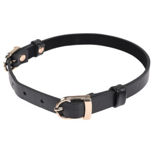 Sex & Mischief Double Buckle Day Collar - Black Collar